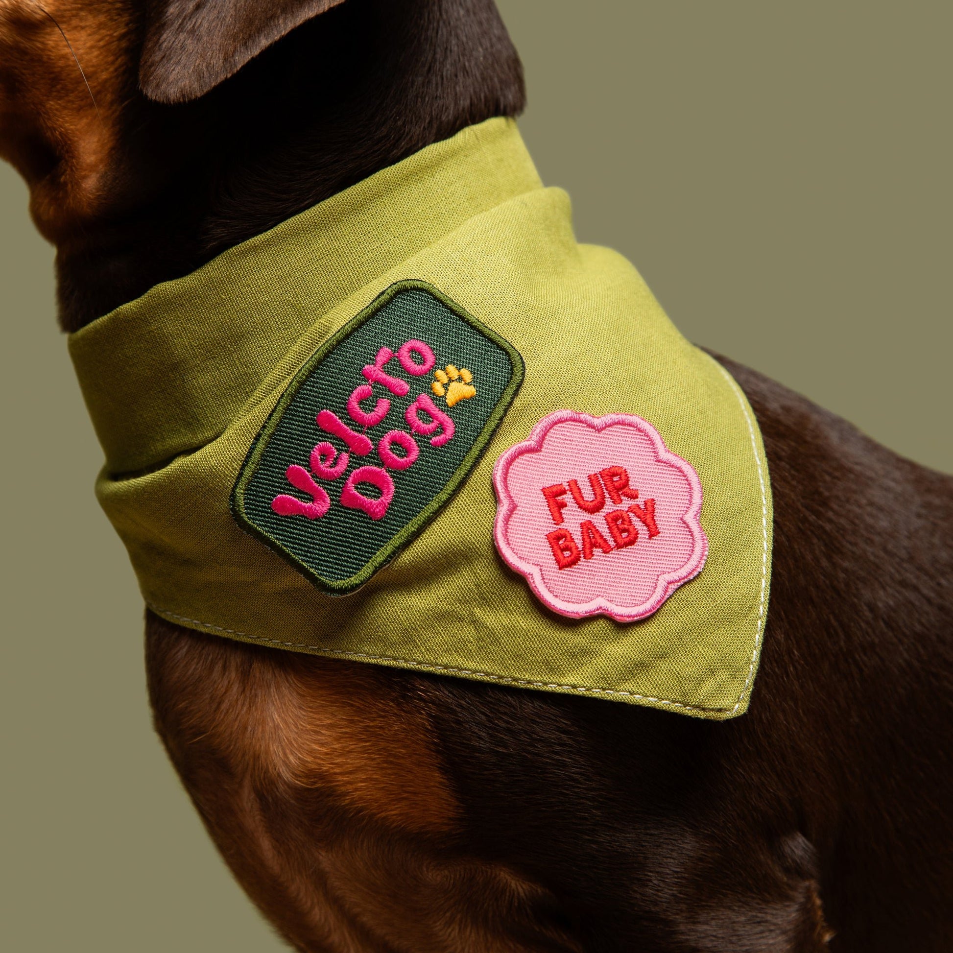 Scout's Honour Partiohuivi lemmikille, olive green