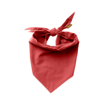 Scout's Honour Partiohuivi lemmikille, rosey red