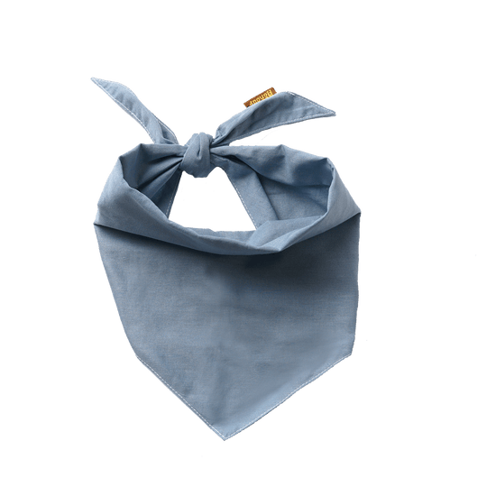 Scout's Honour Partiohuivi lemmikille, sky blue