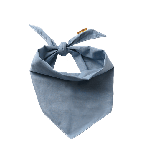 Scout's Honour Partiohuivi lemmikille, sky blue