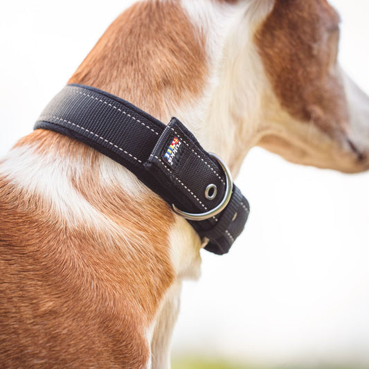 Rukka Pets Pehmustettu kaulapanta