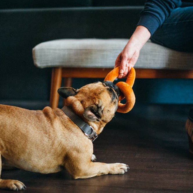 P.L.A.Y. Poochie Pretzel - koiran lelu