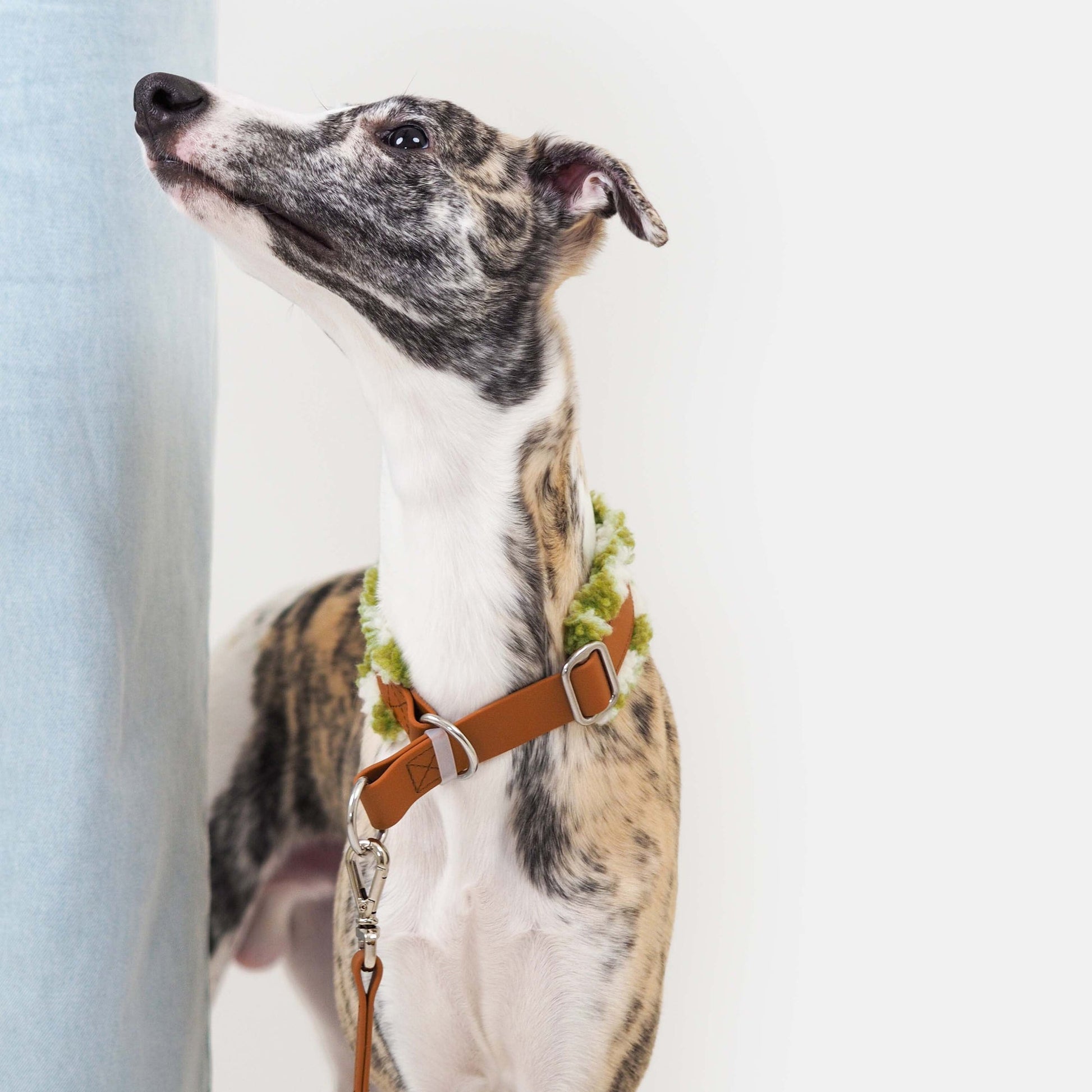 KOIRALIKKA Puolikuristava Teddy - panta, vihreä ruudullinen