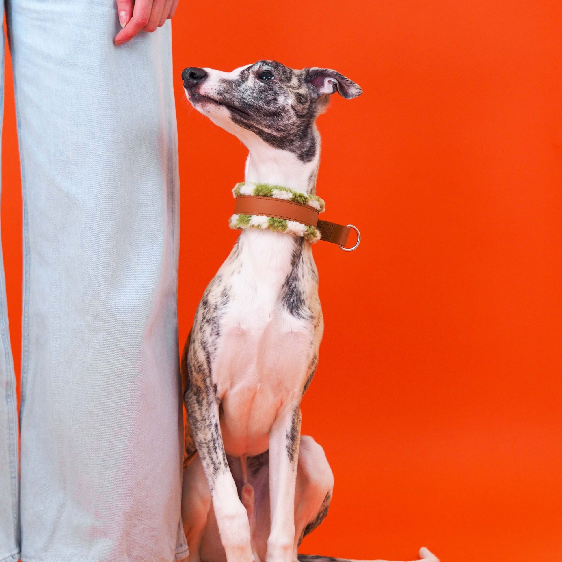 KOIRALIKKA Puolikuristava Teddy - panta, vihreä ruudullinen