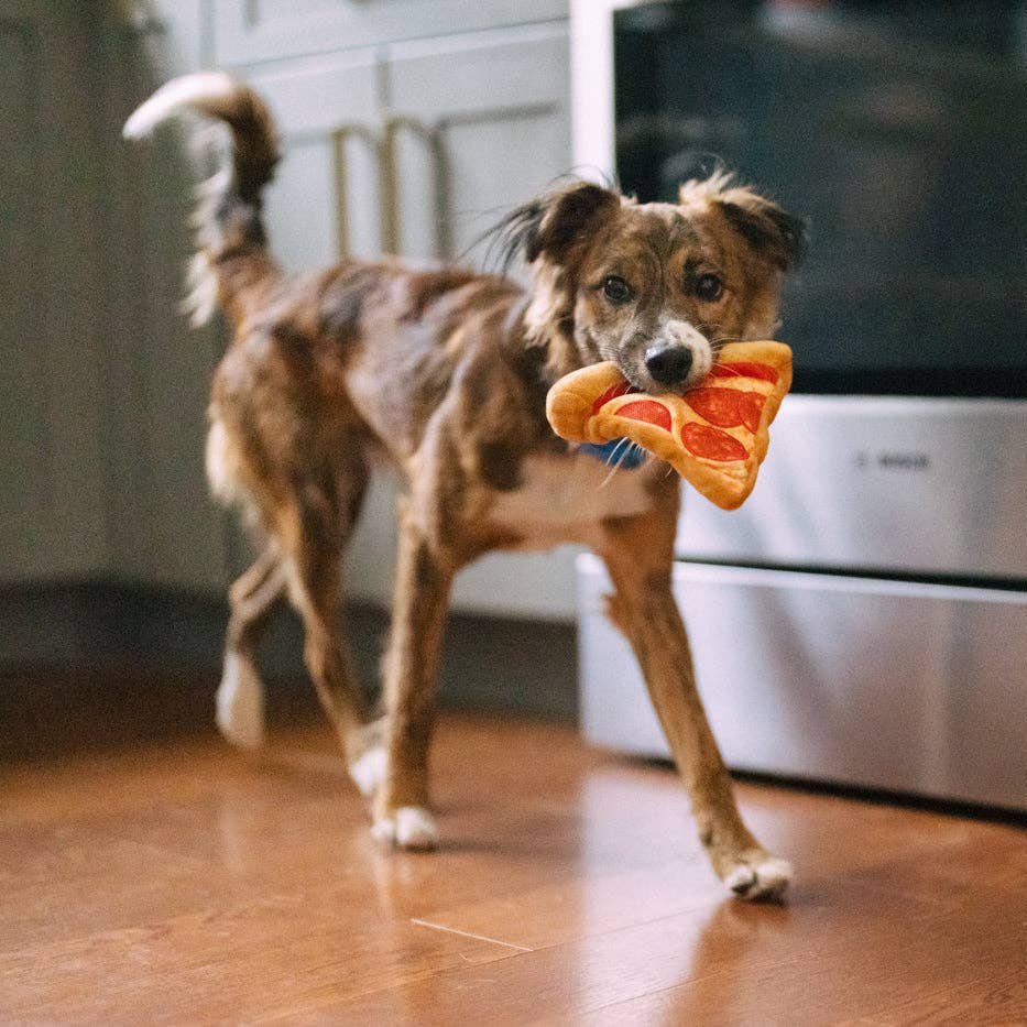P.L.A.Y. Puppy - roni Pizza - koiran lelu