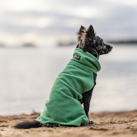 PAIKKA Seawool paita koiralle, vihreä