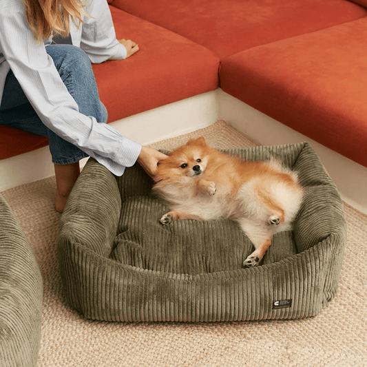 CAFIDE Snozy - peti, vihreä vakosametti