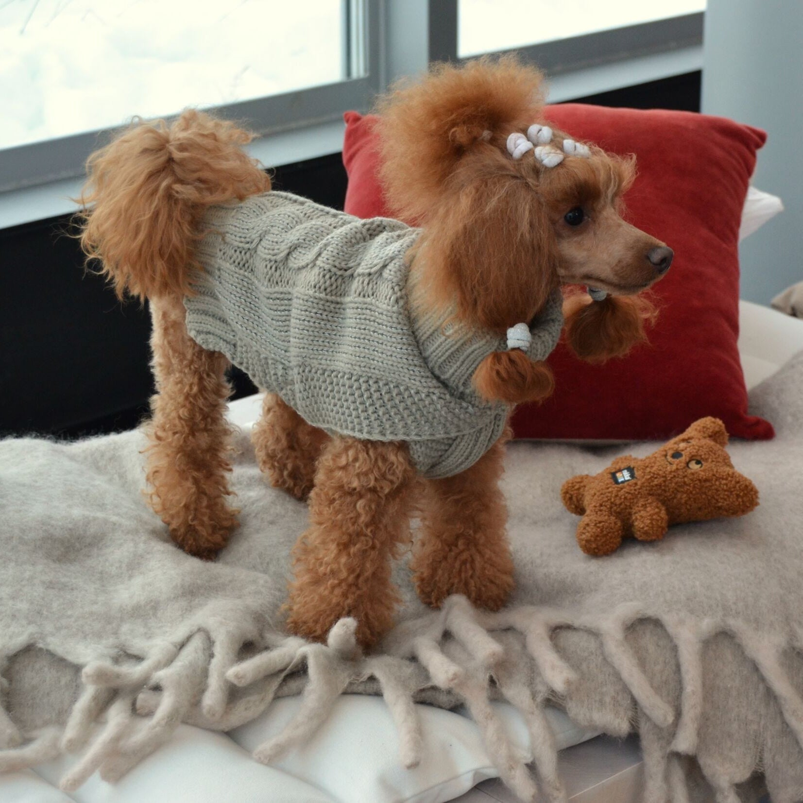 Rukka Pets Sparky - neulepusero