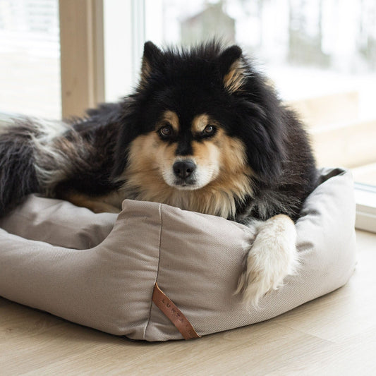 Rukka Pets Square Bed - koiran peti, beige