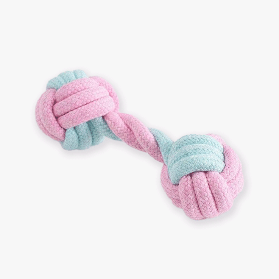 Köysilelu koiralle, pastelli