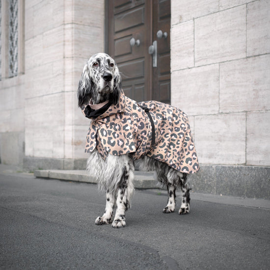 PAIKKA Visibility Lite - koiran sadetakki, Leo