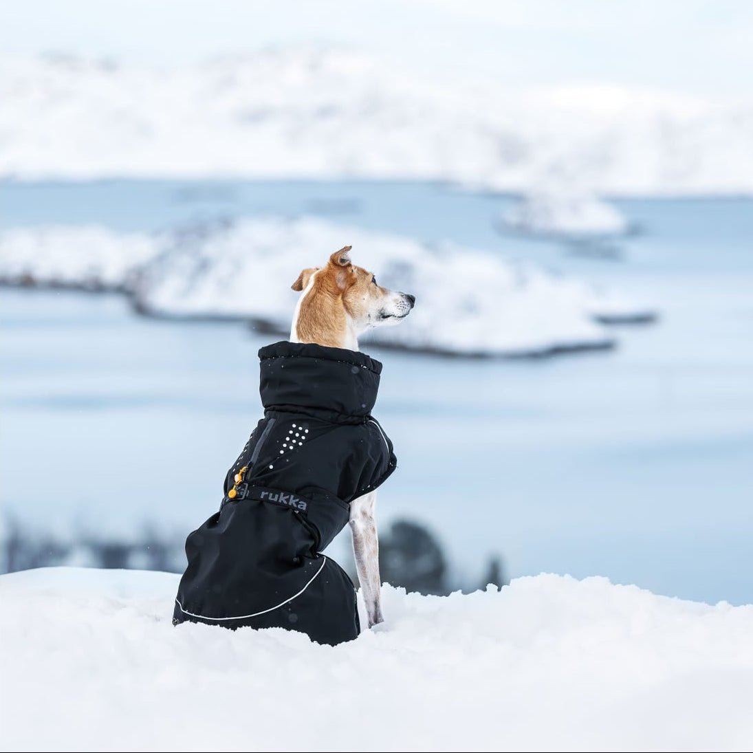 Rukka Pets Warmup 2.0 - talvitakki, musta