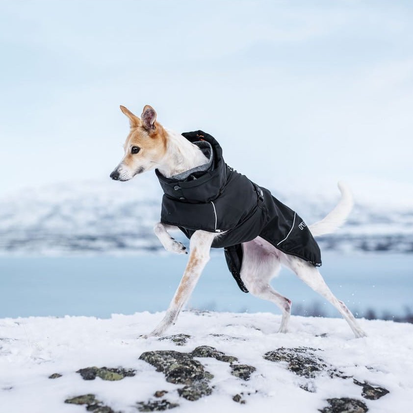 Rukka Pets Warmup 2.0 - talvitakki, musta