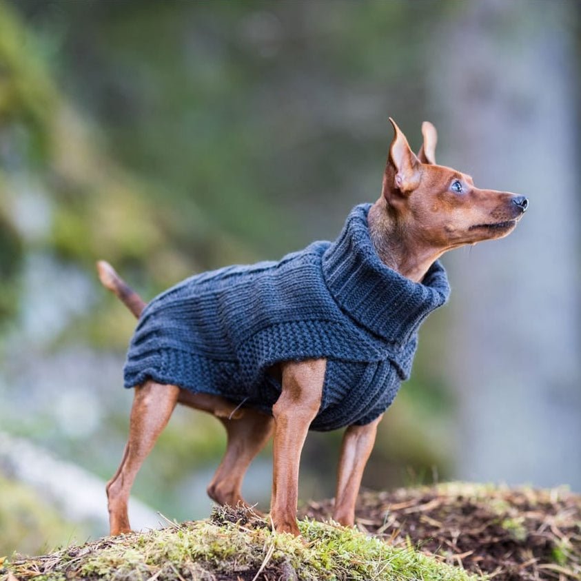 Rukka Pets Wooly - neulepuseo, antrasiitti